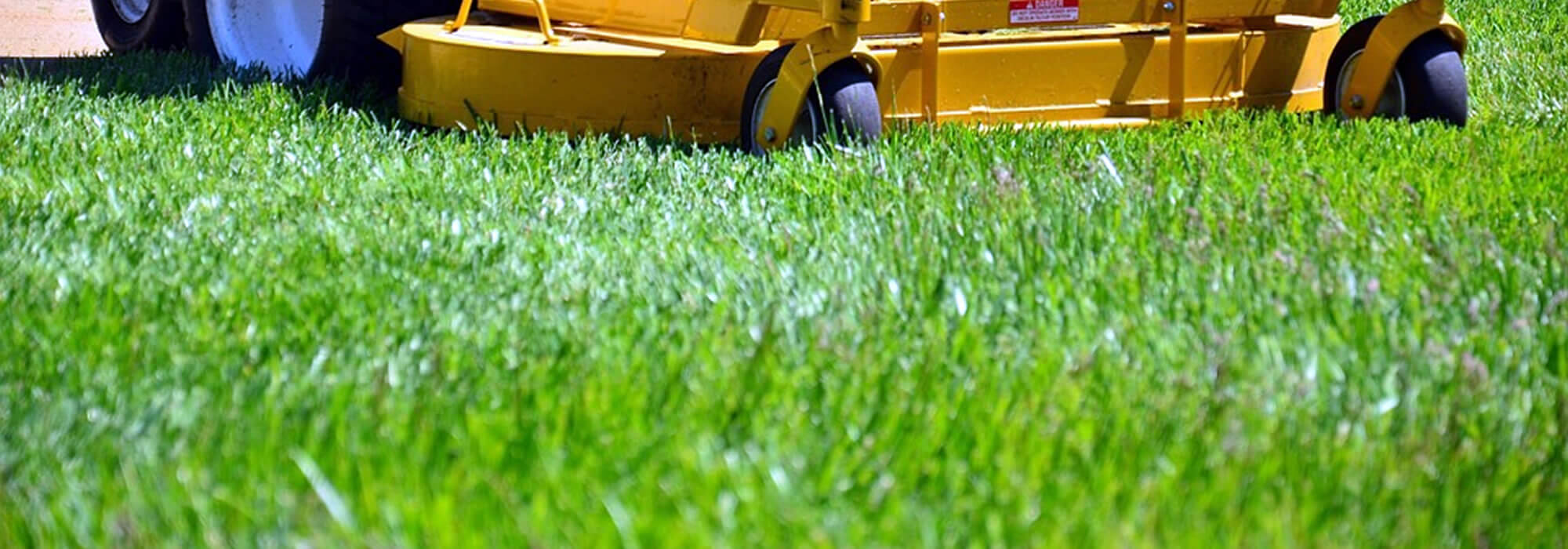 Lawn Mowing and Trimming Services Wisconsin